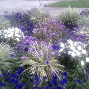 Meet your Posher, Luvinia